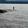 Sid at point