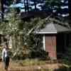 Dottie, House, Hurricane with Tree on Roof 
