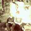 Margie, Joann, Ann, Eddie, Stan 
